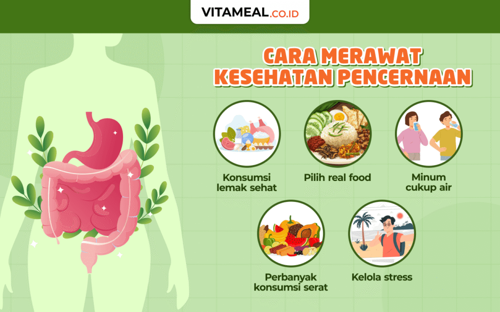 Usus Sehat